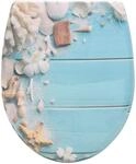 WOLTU Toilettendeckel mit Absenkautomatik Klodeckel WC Sitz Softclose Klobrille...