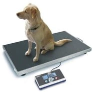 KERN Plattformwaage EOS 300K100XL (W&auml;gebereich max. 300 kg, Ablesbarkeit 100 g,