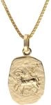 trendor Widder Sternzeichen Gold 333 / 8K mit vergoldeter Silberkette 
