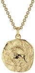 trendor Steinbock Sternzeichen &Oslash; 20 mm Herrenkette Gold auf Silber 39070-01 