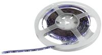 Eurolite LED Strip 300 5m 3528 UV 24V | Flexibler LED-Streifen mit ultravioletter