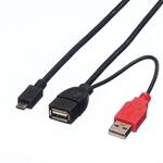 ROLINE USB 2.0 Y-Kabel, 2X Typ A (ST/BU) - Micro B ST, 1m