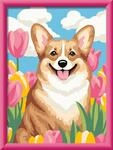 Ravensburger CreArt Corgi im Bl&uuml;tenmeer - Malen nach Zahlen ab 9 Jahre | Malset mit