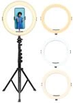 AgfaPhoto Ringlicht Realiview ARL11XL - 11-Zoll LED-Licht mit verstellbarem Stativ