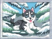 Ravensburger CreArt Frecher Husky - Malen nach Zahlen ab 9 Jahre | Mit Glitzer,