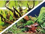Hobby 31062 Green Secret / Wood Island, 120 x 50 cm
