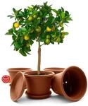BigDean 4X Blumentopf mit Untersetzer rund &oslash; 35 cm Terracotta wetterfest 