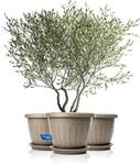BigDean 3X Blumentopf mit Untersetzer rund &oslash;50xH38 cm Mokka/braun |...