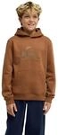 Quiksilver Jungen Comp Logo Hoodie Youth Pullover (1er Pack)