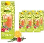 Pfanner Eistee Botanic Tea Himbeer-Rosmarin Limited Edition im Vorratspack -