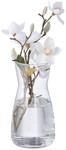 Relaxdays Blumenvase, Glasvase f&uuml;r Blumen, Tischvase aus Klarglas, hohe Dekovase,