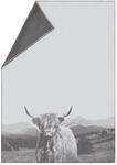 David Fussenegger Wohndecke Sylt 'Hochlandrind' 140 x 200 cm Rohwei&szlig;