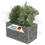 DELUKE Gabionen Hochbeet ROON aus Stahl | 90&times;50&times;50cm | Steinkorb...