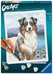 Ravensburger CreArt 12023114 - Australian Sheperd Merlin - Malen nach Zahlen ab 12