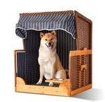 Relaxdays Hundestrandkorb, Rattan, mit Napf, Hundesessel mit Dach, HBT: 95x75x65 cm,