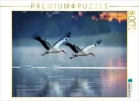 Puzzle &middot; Majest&auml;tischer Flug &uuml;ber den See | St&ouml;rche in Deutschland &middot; 1000...