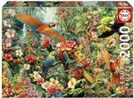 Educa - 2000-Teile-Puzzle f&uuml;r Erwachsene | V&ouml;gel des Amazonas | Ma&szlig;e: 96 x 68 cm 