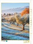 Puzzle &middot; EIN Motiv aus dem Kalender Wo die Zeit Wurzeln schl&auml;gt | 1000 Teile...