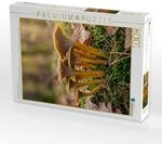 Puzzle &middot; Pilz Portr&auml;t Trompetenpfifferling | Ein leiser Waldmoment f&uuml;r dein