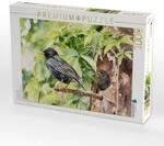 Puzzle &middot; Star mit Nachwuchs | Brutzeit im Fr&uuml;hling &middot; 1000 Teile &middot;...