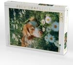 Puzzle &middot; Nicht kann Mich jetzt aus der Ruhe bringen | 2000 Teile &middot;...