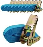 TRUTZHOLM 10x Profi Ratschen Spanngurt Gurt Zurrgurt Ratsche Auto 1tlg 4m 0,8t...