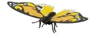 Fridolin 3D Papiermodell Bunter Schmetterling