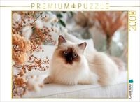 Puzzle &middot; Heilige Birma - Augenblick der Harmonie | Sanfte Sch&ouml;nheit &middot; 2000 Teile