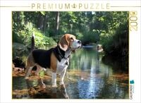 Puzzle &middot; Beagle - Auf Entdeckungstour im Wald | Dem Abenteuer auf der Spur &middot; 2000