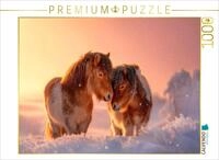 Puzzle &middot; Shetlandponys - Gemeinsam durch den Winter | Winterzauber zu zweit &middot;...