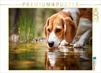 Puzzle &middot; Beagle - Durstige Sp&uuml;rnase | Kleine Pause am Wasser &middot; 2000 Teile &middot;
