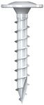 Pfostenschrauben 10 x 40, Ruspert silber, TX 40