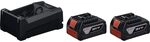 Bosch Professional 1.600.A03.CH1 2xGBA18V 5.0Ah, GAL12V/18 Werkzeug-Akku 18 V