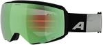 ALPINA GRANBY 2 Q-LITE - Skibrille f&uuml;r Erwachsene | verspiegelte,