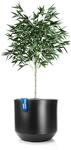 BigDean Blumentopf Style &oslash; 46 cm anthrazit + Innentopf Blumenk&uuml;bel XL 