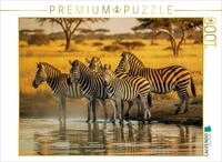 Puzzle &middot; Zebras, Harmonie im Kontrast | Zebras in der Savanne &middot; 1000 Teile &middot;