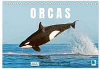 Kalender 2027 &middot; Orcas: Schwarz-wei&szlig;e Giganten | Orcas: Majest&auml;tische