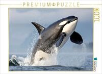 Puzzle &middot; Kraftvoller Sprung aus dem Wasser | 1000 Teile &middot; Lege-Gr&ouml;&szlig;e 64 &times;...