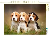 Puzzle &middot; Beagles - Trio zum Verlieben | Drei kleine Herzensbrecher &middot; 2000...