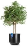 BigDean Blumentopf Style &oslash; 58 cm anthrazit + Innentopf Blumenk&uuml;bel XL 