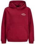 JACK & JONES Herren Jornorrebro Typo Back Sweat Hood Sn Jnr Jornorrebro Typo Back