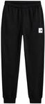 THE North FACE Herren Hose Evo Box Half Dome Regular Tapered