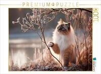 Puzzle &middot; Heilige Birma - Zauber des ersten Frosts | Magischer Wintermorgen &middot;...