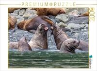Puzzle &middot; Seel&ouml;wen in der Gruppe | 2000 Teile &middot; Lege-Gr&ouml;&szlig;e 90 &times; 67 cm &middot;