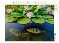 Puzzle &middot; Im Tanz der Seerosen | Leben zwischen Seerosen &middot; 1000 Teile &middot;