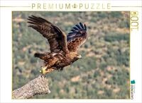 Puzzle &middot; Steinadler &ndash; Kraftvoller Aufbruch | Mit voller Kraft in die...