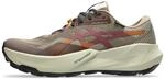 ASICS Trabuco 14 GTX 002