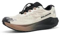 Salomon Shoes AERO Blaze 4 GRVL GTX Vanila/Black Vanilla Ice/Black/Burro