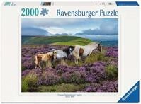 Ravensburger Puzzle 12001751 - Wildpferde in der Heide - 2000 Teile Puzzle, f&uuml;r