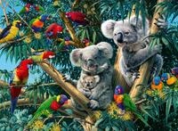 Ravensburger Puzzle Koalas im Baum - 500 Teile Puzzle f&uuml;r Erwachsene | 500 Teile